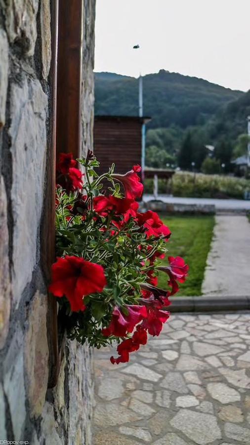 Villa 'Iva' Mavrovo-Nationalpark Exterior foto